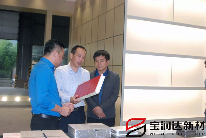 市產(chǎn)業(yè)集聚區(qū)冀偉主任一行來訪寶潤達(dá)視察