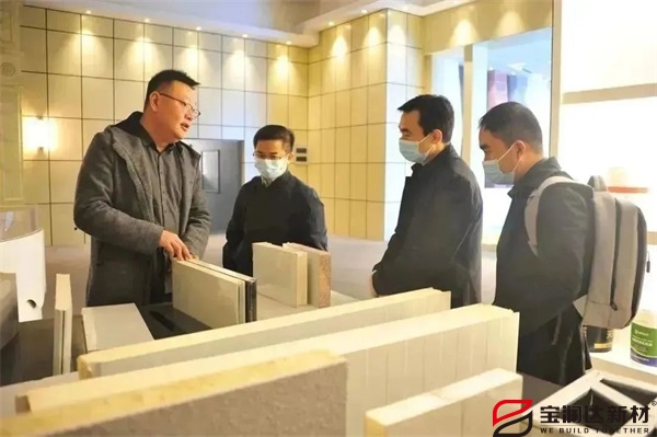 安徽省領導一行蒞臨寶潤達進行調(diào)研