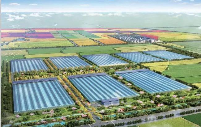 寶潤(rùn)達(dá)項(xiàng)目 寶潤(rùn)達(dá)項(xiàng)目